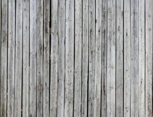 Read more about the article Muldvarpebekæmpelse bording naturligt